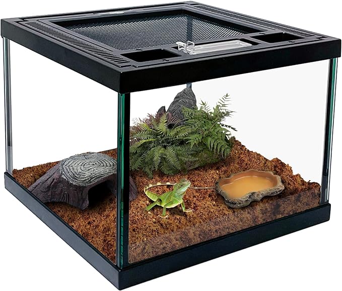 Uromastyx cage set up guide