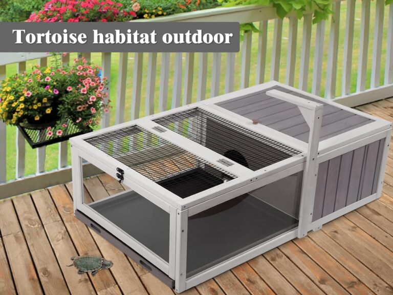 Outdoor Sulcata Tortoise Enclosures