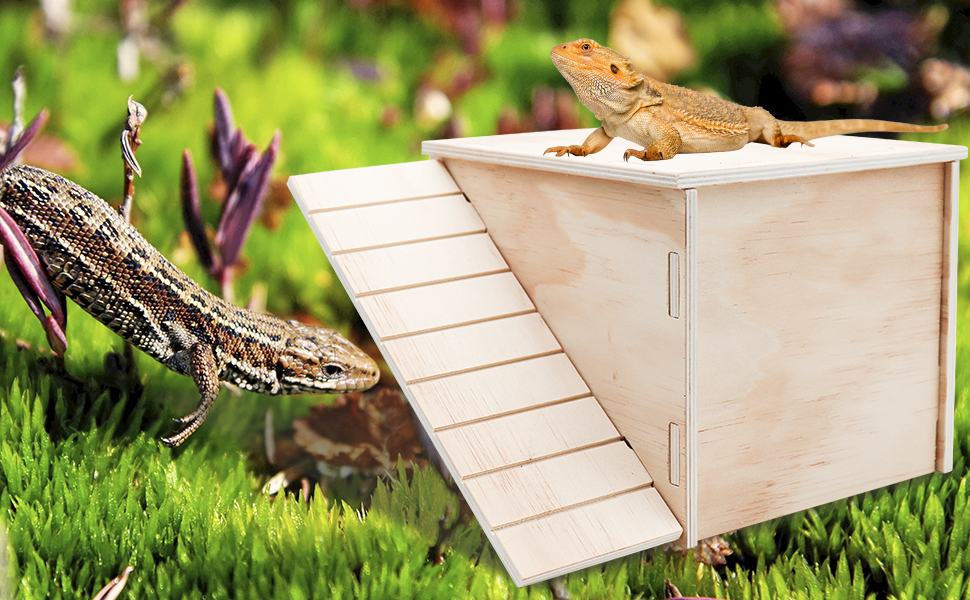 secure hide outs for bearded dragons