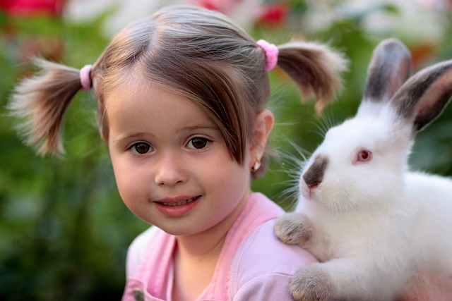 Emotional Attachment Between Rabbits and Owners