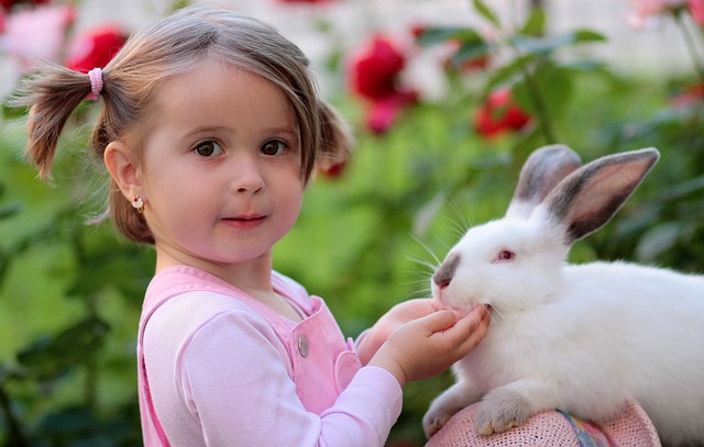 Understanding the Emotional Attachment Between Rabbits and Owners