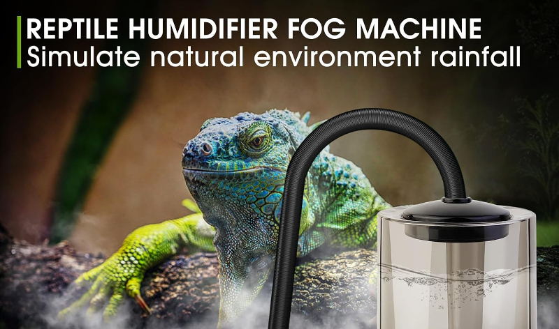 Best Automatic Misters for Reptiles: Ensuring Optimal Habitat Conditions