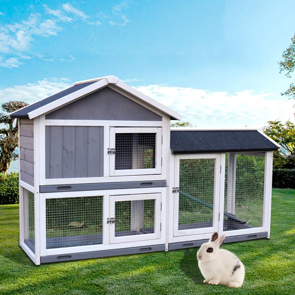 Boomer and George Rabbit Hutch Review