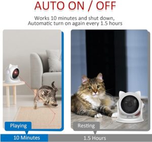 Best Automated Cat Toys