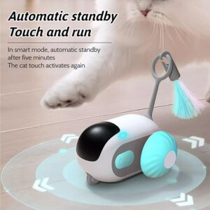 best automatic cat laser toy