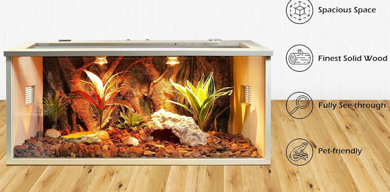 Terrariums with Doors for Reptiles