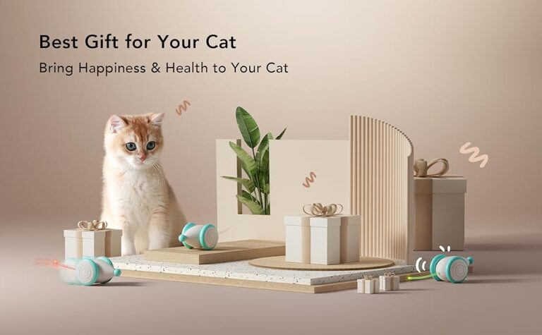 interactive cat toys