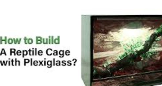 Building a Plexiglass Reptile Cage Complete Step by Step Guide