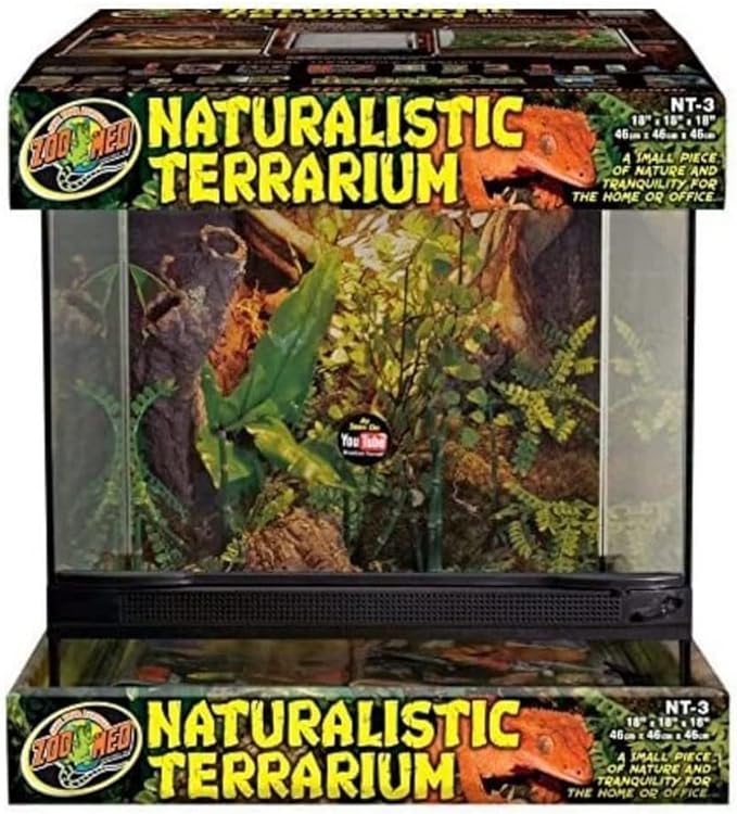 Best Naturalistic Terrariums