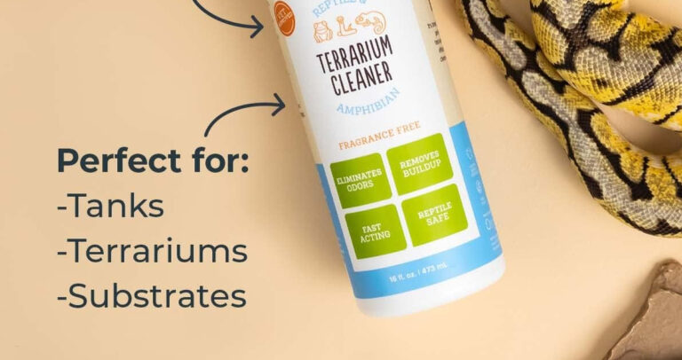 Terrarium Cleaners for Reptile