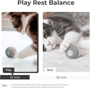 Top Interactive Cat Toys for Indoor Cats