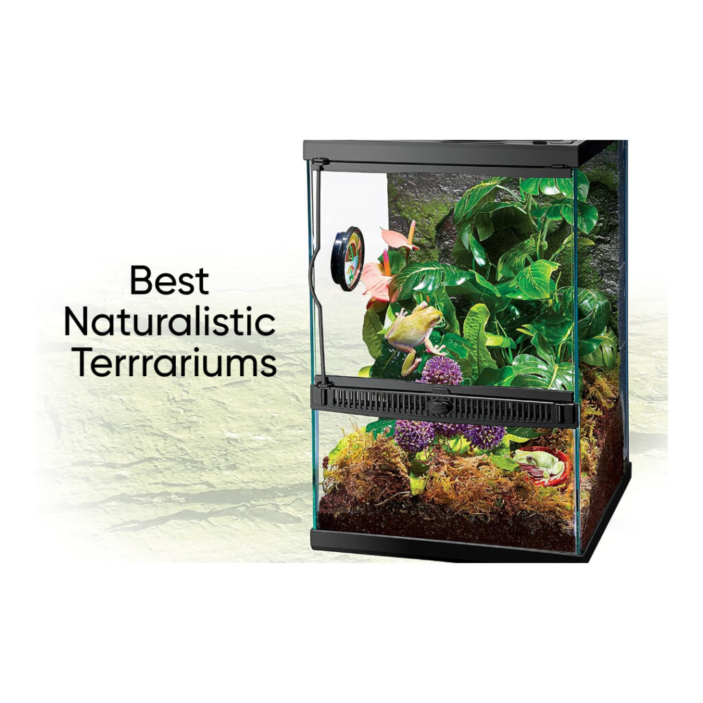 Best Naturalistic Terrariums,Zoo Med Laboratories Naturalistic Terrarium, Large