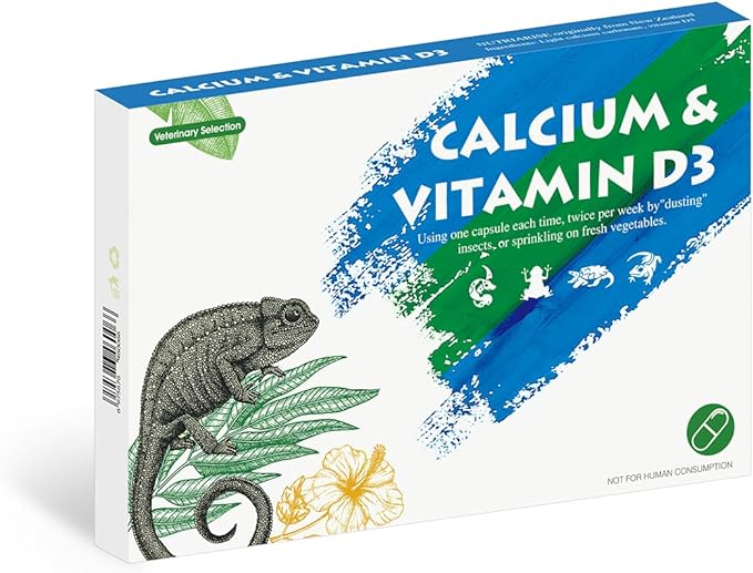 The Ultimate Guide to Reptile Calcium Powder