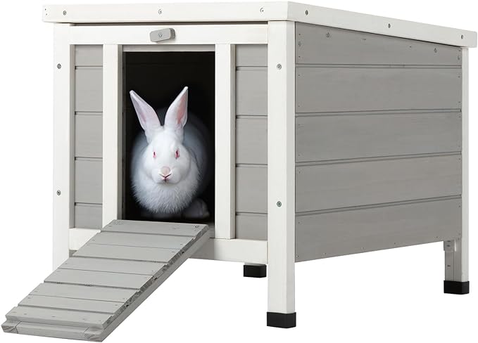 What Wood is safe for Rabbit Hutch