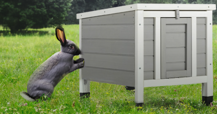 what wood is safe for rabbit hutch