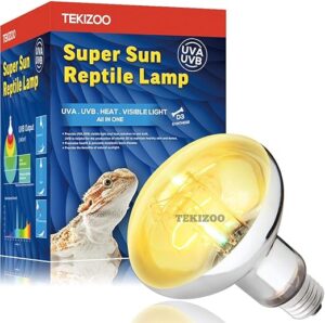 Basking Lights for Your Bearded Dragon