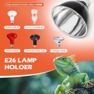 Top 5 Basking Lights for Your Bearded Dragon